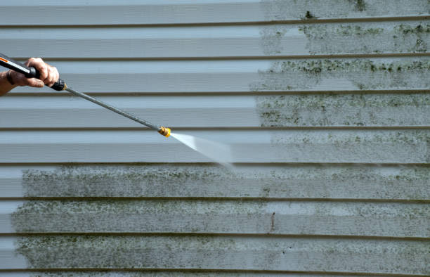 Best Driveway Pressure Washing  in Biscayne Park, FL